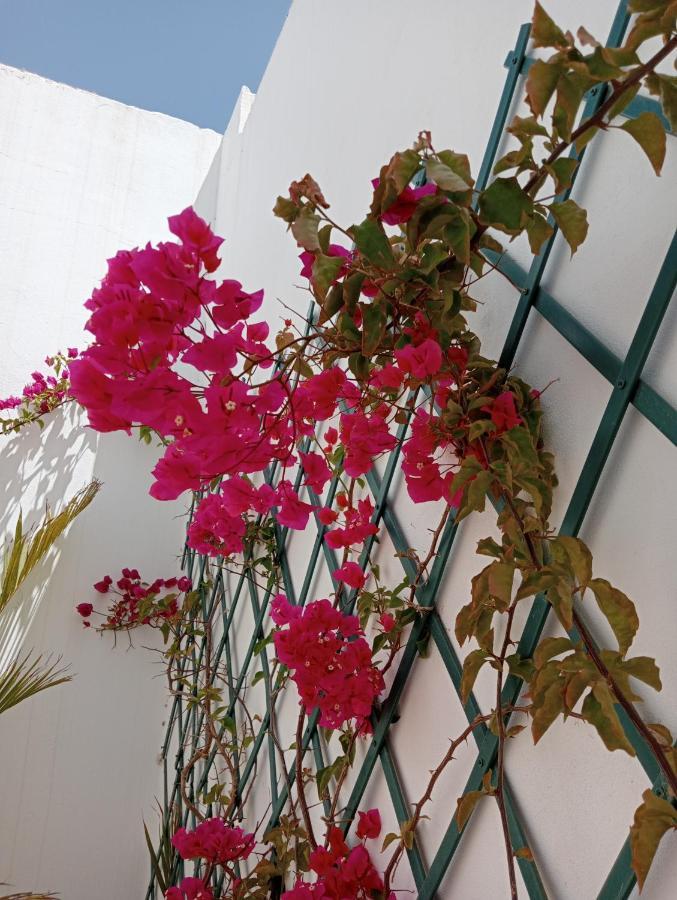 Casa Mocan Arrecife  Dış mekan fotoğraf